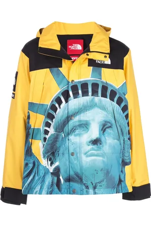 Supreme X The North Face Mountain jakke
