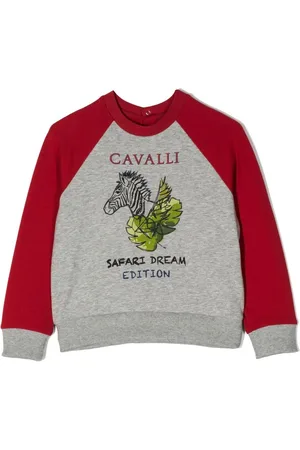 Roberto Cavalli Sweatshirt med grafisk tryk