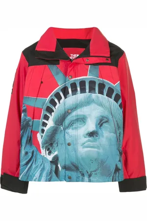 Supreme X The North Face Mountain jakke