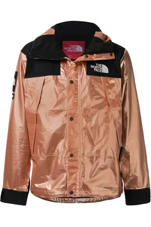 Supreme TNF Metallic Mountain parka