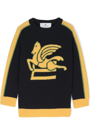 Etro Intarsiastrikket Pegaso trøje