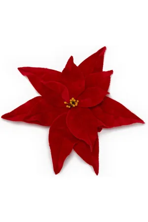 J.W.Anderson Pointsettia-broche i velour