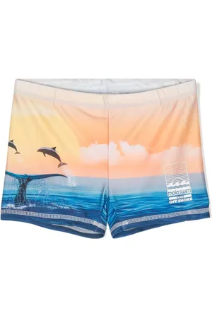 Molo Norton Placed badeshorts