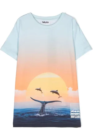 Molo Raul T-shirt i økologisk bomuld