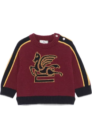 Etro Intarsiastrikket sweater med pegasus