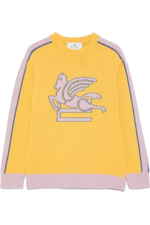 Etro Intarsiastrikket sweater med pegasus