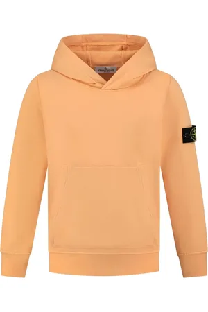 Stone Island Hættetrøje med kompasmærke