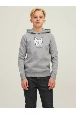 JACK & JONES Drenge Sweatshirts - Til Drenge Med Bulldog-logo Hoodie