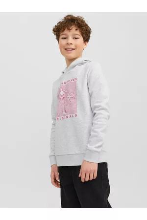 JACK & JONES Drenge Sweatshirts - Junior Hættetrøje