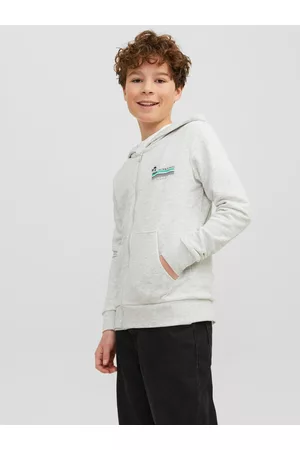 JACK & JONES Drenge Sweatshirts - Junior Hættetrøje