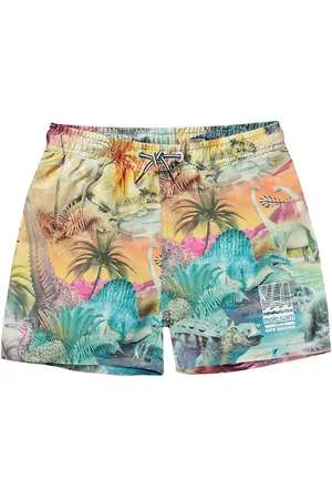 Molo Badeshorts - UV50+ - Niko - Dino Paradis