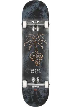 Globe Skateboard - 8