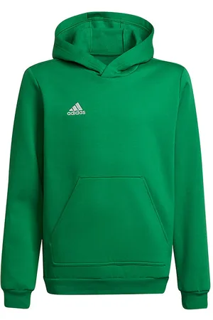 adidas HÃ¦ttetrÃ¸je - Ent22 Hoody Y - Teagrn/White