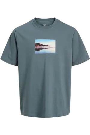 JACK & JONES T-shirt - JorVesterbro - Stormy Weather