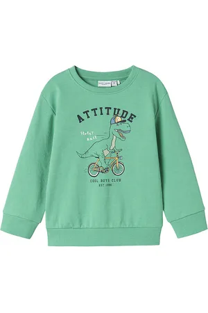 NAME IT Sweatshirt - NmmValexander - Creme De Menthe/Attitude