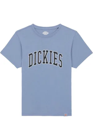Dickies T-shirt - Aitkin - Country Blue