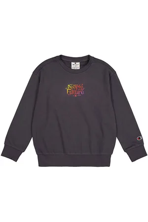 Champion Sweatshirt - GrÃ¥