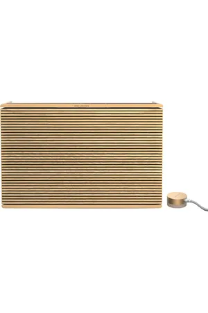 Bang & Olufsen Beosound Level Speaker