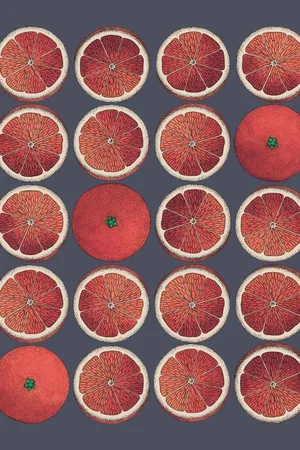 FORNASETTI Arance Wallpaper