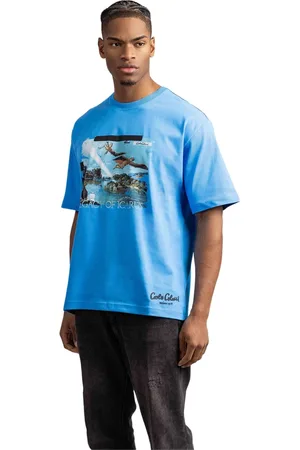 Carlo Colucci Top, Herre, Blå, XS, Bomuld, Icarius Herre T-Shirt - Blå - Casual og Trendy