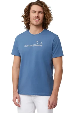 HARMONT&BLAINE Top, Herre, Blå, XL, Bomuld, T-shirts