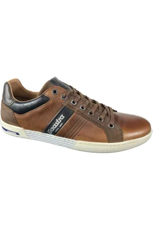 Gaastra Sko, Herre, Brun, 40 EU, Uld, Moderne Stilfulde Sneakers