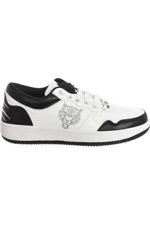 Philipp Plein Sko, Herre, Flerfarvet, 41 EU, Læder, Klo Sneakers til Mænd