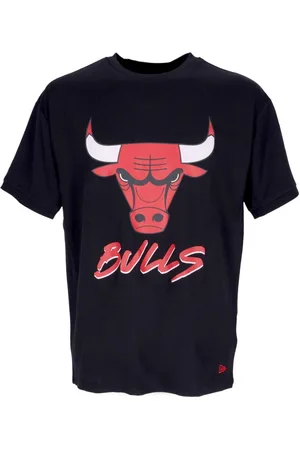 New Era Top, Herre, Blå, L, Polyester, Chicago Bulls Script Mesh Tee