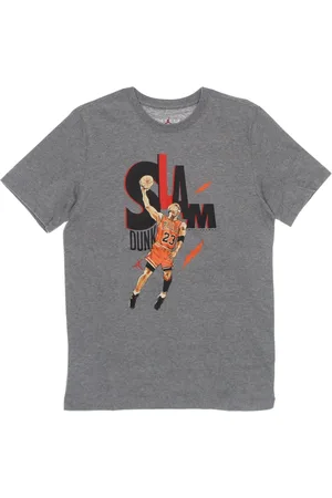 Jordan Top, Herre, Grå, S, Bomuld, Crew Neck T-shirt Regular Fit Print