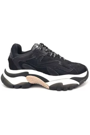 Ash Sko, Dame, Sort, 41 EU, Læder, Sort læder sneaker Addict