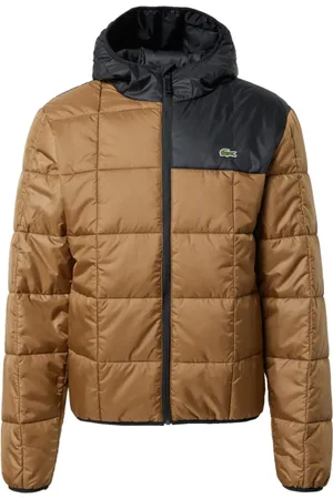 Lacoste Jakke, Herre, Brun, S, Uld, Farveblok Pufferjakke Vandtæt Marron/Noir