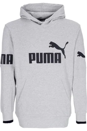 PUMA Sweathshirts & Hoodies, Herre, Grå, L, Bomuld, Farveblok hættetrøje med lomme