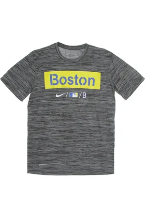 Nike Top, Herre, Grå, S, Polyester, Baseball Velocity Træningstrøje