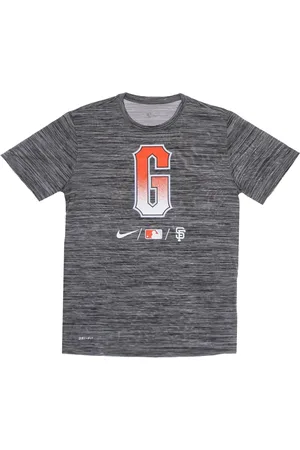 Nike Top, Herre, Grå, M, Polyester, Baseball Velocity Trænings-T-shirt City Connect