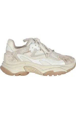 Ash Sko, Dame, , 41 EU, Uld, Interce S24-Addict01 Sneakers
