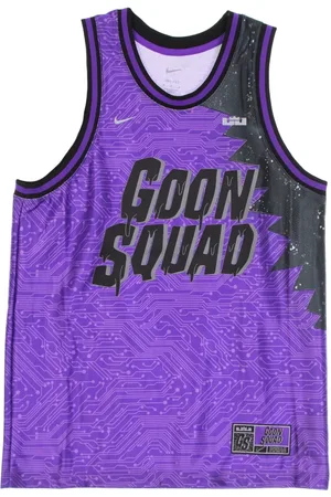 Nike Sport, Herre, Lilla, S, Polyester, LeBron James Goon Squad Tanktop