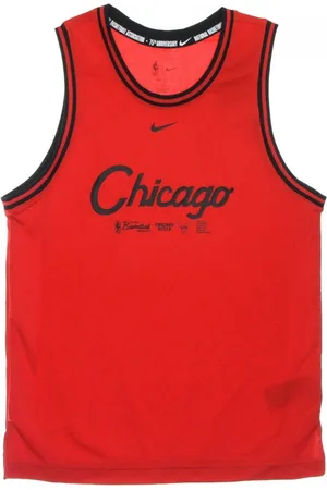 Nike Sport, Herre, Rød, S, Polyester, DNA Tanktop