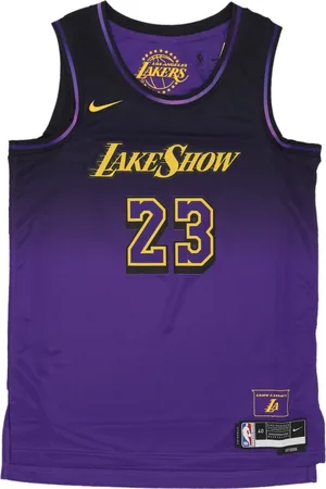 Nike Sport, Herre, Lilla, XL, Polyester, City Edition Basketball Tanktop