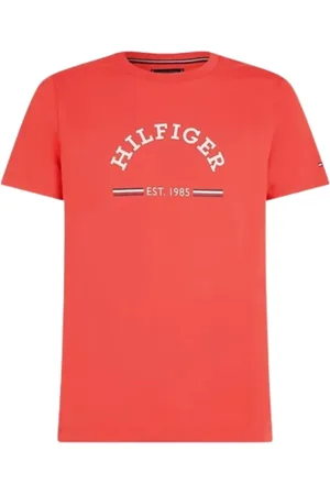 Tommy Hilfiger Top, Herre, Rød, S, Bomuld, RWB Arch Graphic Tee