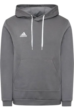 adidas Sweathshirts & Hoodies, Herre, Grå, M, Bomuld, Entrada 22 Hættetrøje