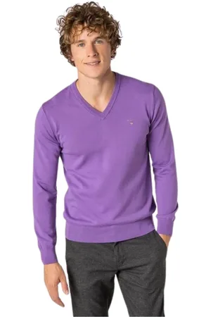 GANT Strik, Herre, Lilla, S, Bomuld, Basis V-hals Sweater Lilla