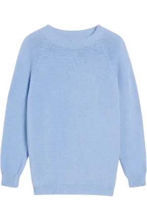 Max Mara Strik, Dame, Blå, XS, Bomuld, Linz Bomuldssweater i Celeste