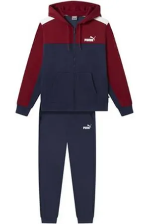 PUMA Sport, Herre, Flerfarvet, S, Uld, Hættetrøje med fuld lynlås Bordeaux Blå