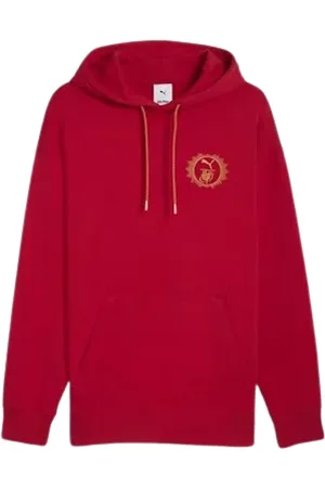 PUMA Sweathshirts & Hoodies, Dame, Grøn, L, Gryffindor Hættetrøje Quidditch Stil