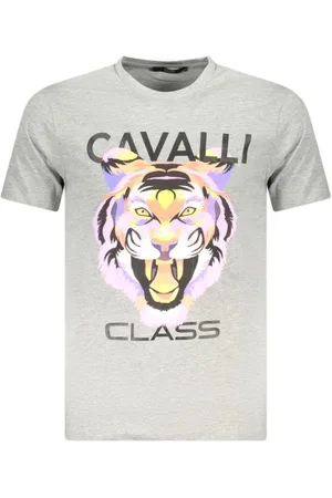 Roberto Cavalli Top, Herre, Grå, 2XL, Bomuld, Grå Bomuld Crew Neck T-Shirt