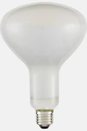 FLOS Luminator and Parentesi light bulb (EU/UK)