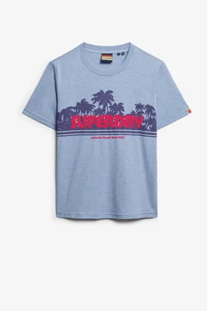 Superdry Outdoor Stripe Relaxed T-Shirt42