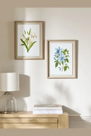 Next Set of 2 Floral Archive Framed Wall Artsen