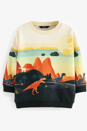 Next Character Scene Rund hals 100% Bomuld Sweatshirt (3måneder-7år)6 - 9 måneder (68 - 74cm)