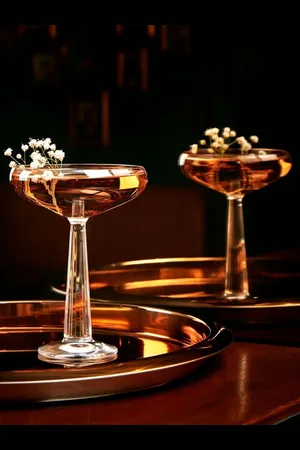 NUDE Set of 2 Big Top Coupe Glassesen